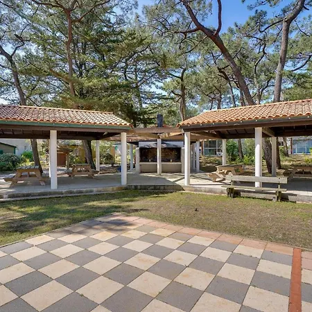 Hébergement de vacances Gorgeous In *